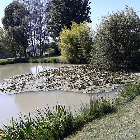 Comme A La Maison Pres Des Chateaux De La Loire Feings  Εξωτερικό φωτογραφία